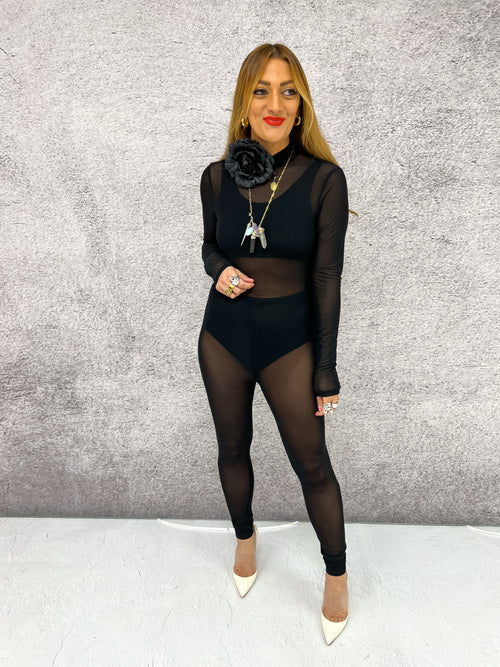 Sheer Long Sleeve Mesh Unitard In Black