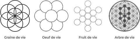 variaciones de la flor de la vida