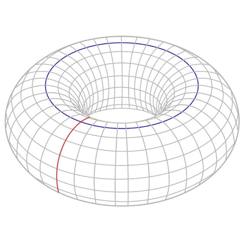 torus is a form of sacred geometry