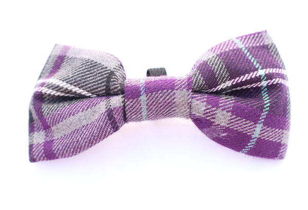 dog bow tie uk