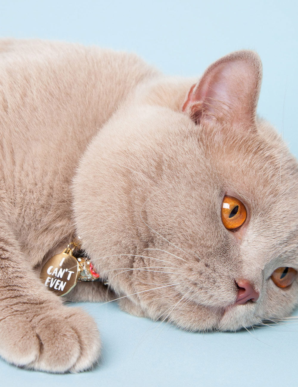 'I Can't Even' Collar Tag | Gold
