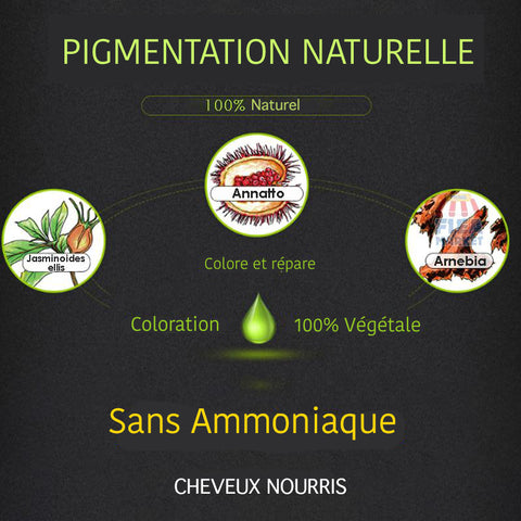 pigmentation naturelle colorant stylo pour retoucher ses racines