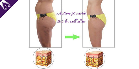 Roll In Stick Rouleau Anti Cellulite Recuperation Roll Ins Shop