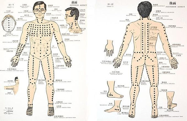 points d'acupuncture sur le corps humain