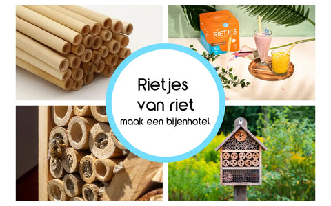 Knutselen met rietjes van riet