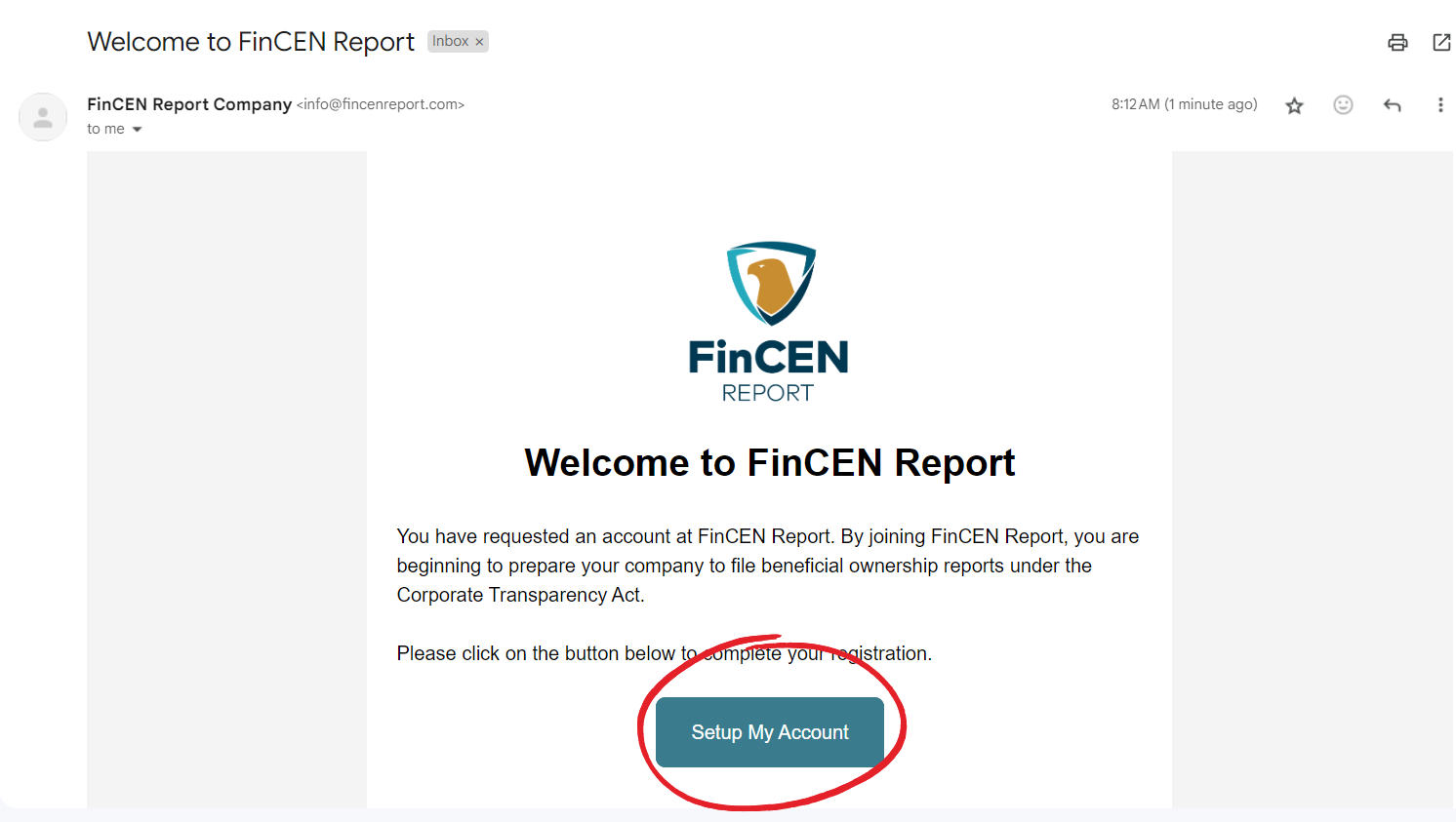 FinCEN Report Tutorial - Step 2