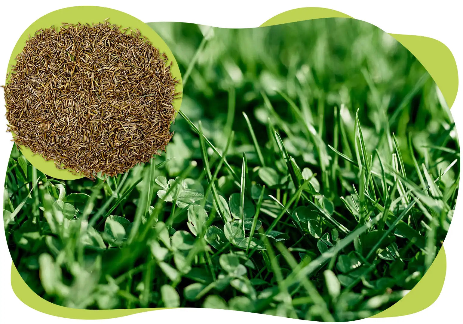 EcoEase Web Feature Desktop.webp__PID:2d490faf-fd4d-4b23-84dd-28c590603cca