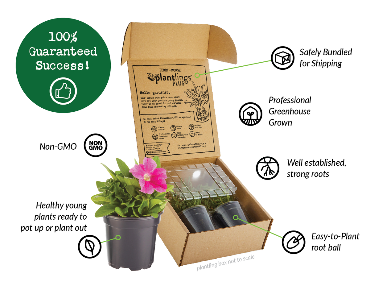 Live Baby Plants | Plantlings™ by Ferry-Morse