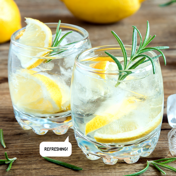 rosemary gin fizz drink