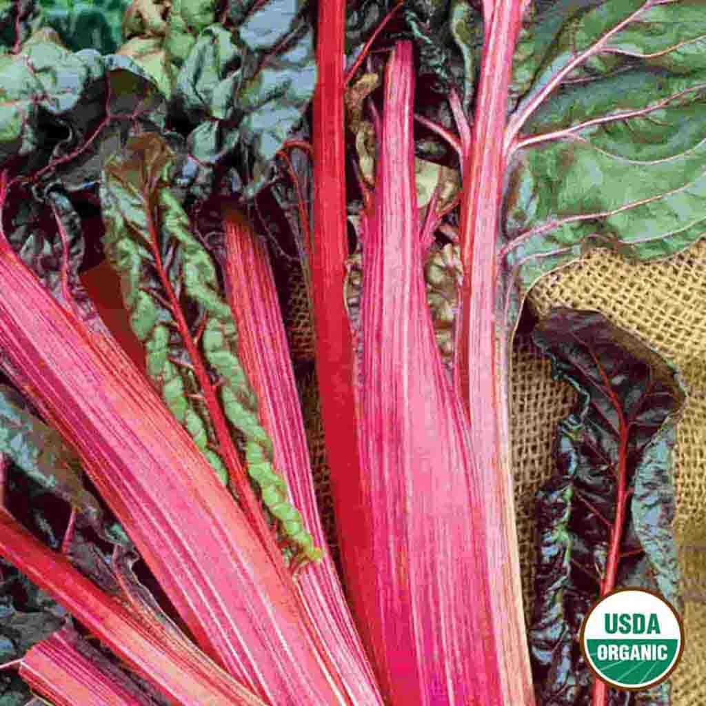 Organic Swiss Chard Seeds Ruby Ferry Morse Home Gardening Since 1856