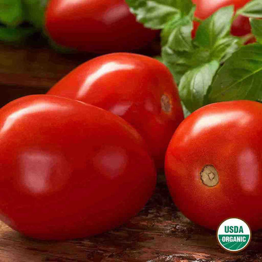 25 Organic Red Brandywine Heirloom Tomato Seeds - Everwilde Farms Mylar  Packet