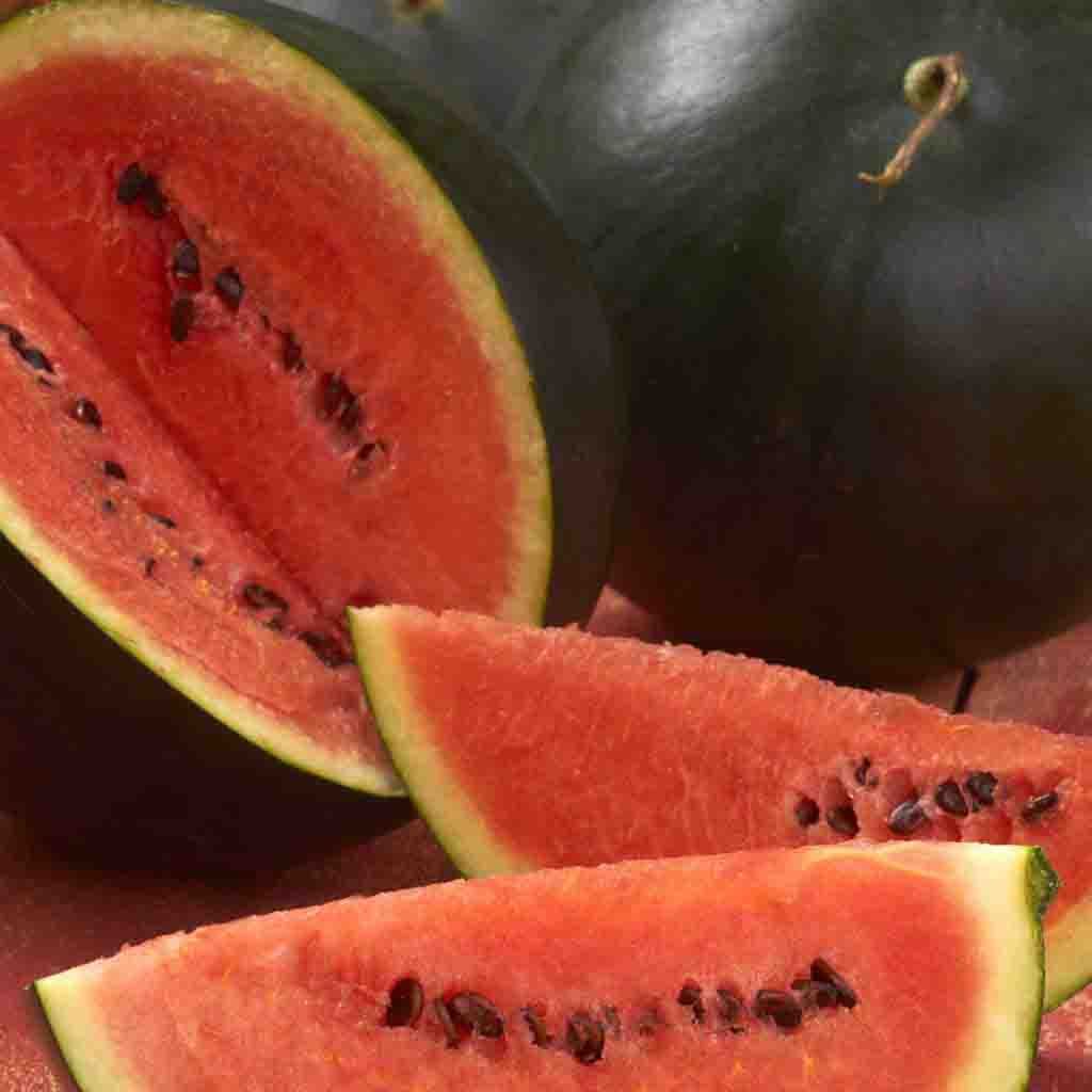 Heirloom Sugar Baby Watermelon Seeds Ferry Morse Home Gardening 2 S Washington St Norton Ma