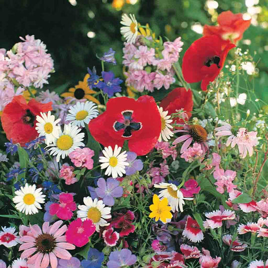 Old Fashioned Garden Mix Annual Flower Seeds – Ferry-Morse