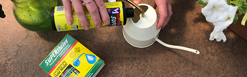 A home gardener pouring liquid fertilizer into a white watering can to mix with irrigation water for plants