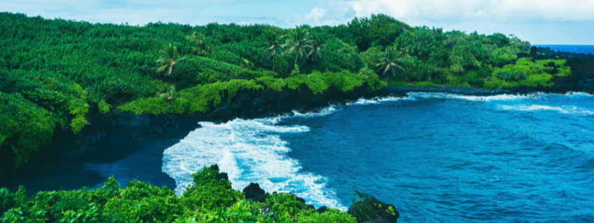 Waves crashing onto a black sand beach surrounded by vibrant green vegetation