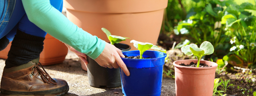 Gardening Tips: Use string line, board when planting vegetables - Rural  Messenger