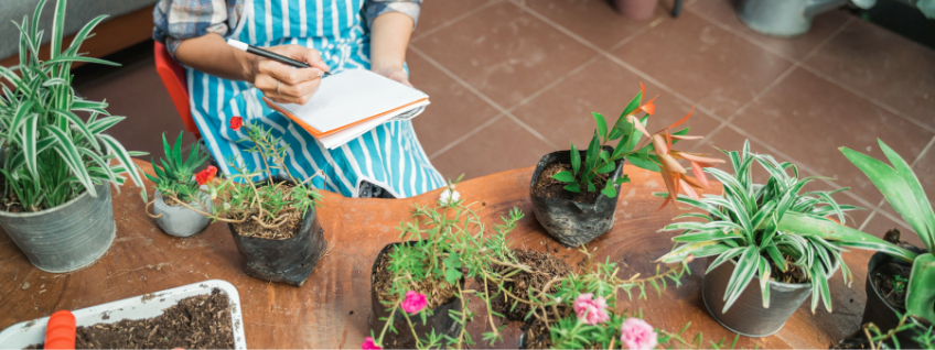 A gardener taking an inventory of her plants at home