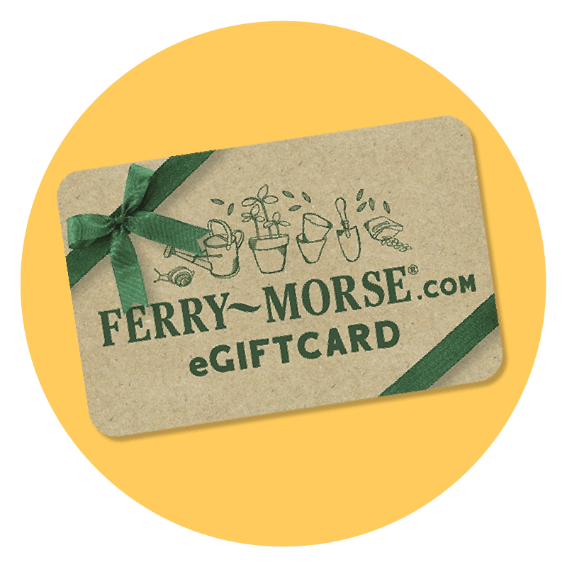 Ferry-Morse eGift Card with green bow.