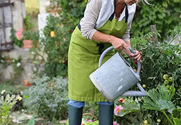 A woman watering her plants wearing a green apron and rubber boots.