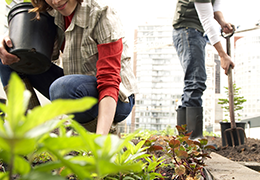 Two gardeners transitioning their garden for the fall months.