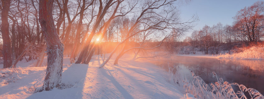 Winter sun hanging low in the sky, casting long shadows through the trees of a snowy landscape