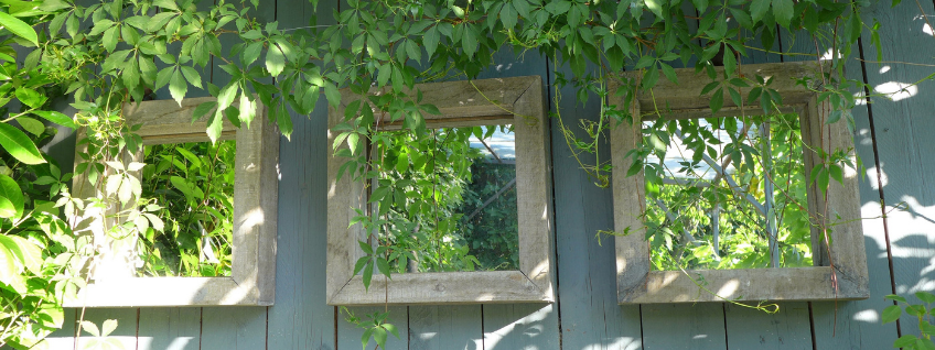 Three mirrors on a garden wall to help reflect light and heat from the sun