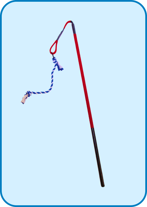 Fishing rod with a red handle against a blue background.