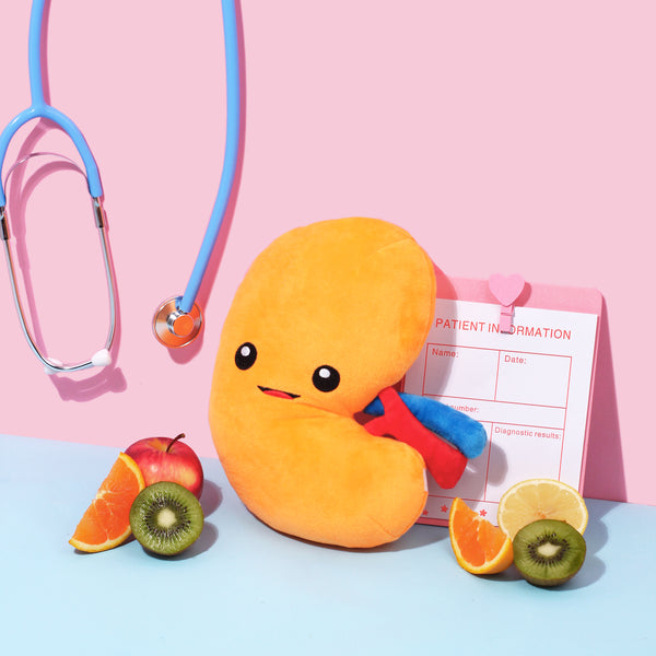 Kidney Plush Organ