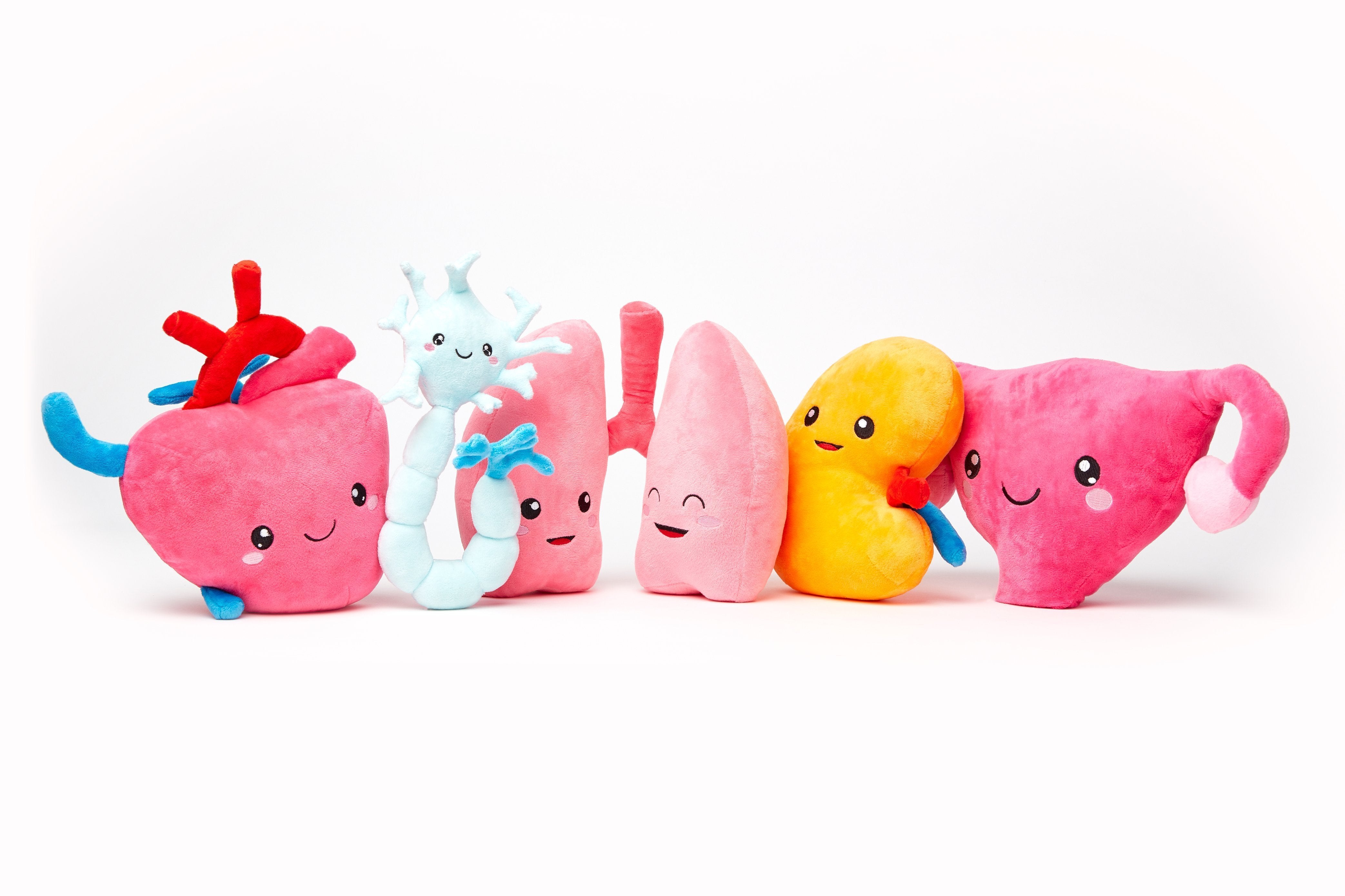 organ plush toys