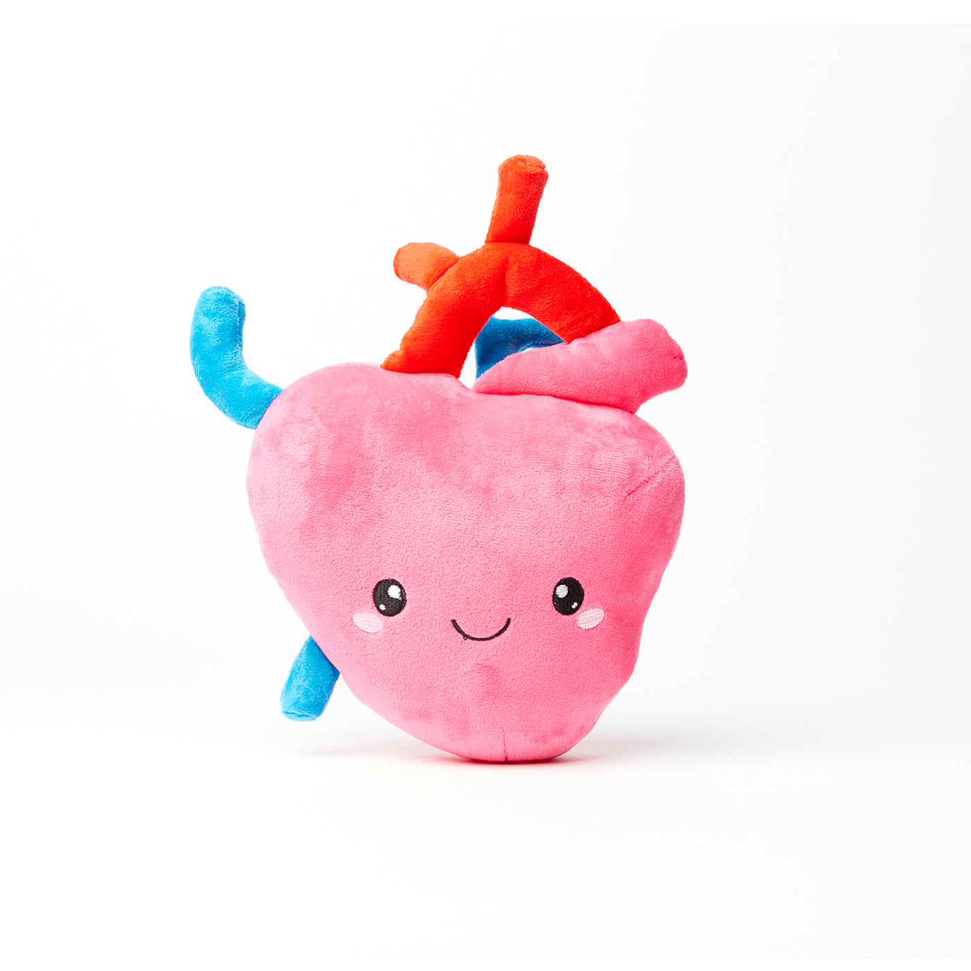 anatomically correct heart plush