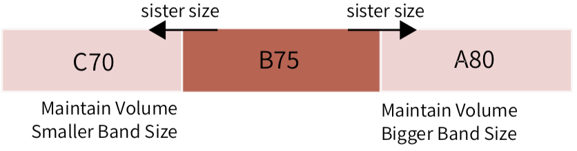 International/European Bra Sister Size Chart