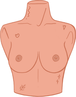 Teardrops and East Wests: There are nine types of boobs and this is what  they look like