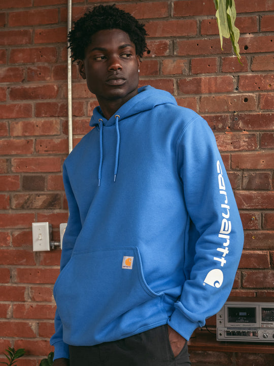 Mens Hoodies  Carhartt, Nike, Adidas, Champion, Tentree & More