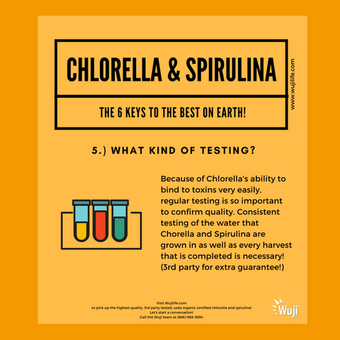 Organic Chlorella and Spirulina