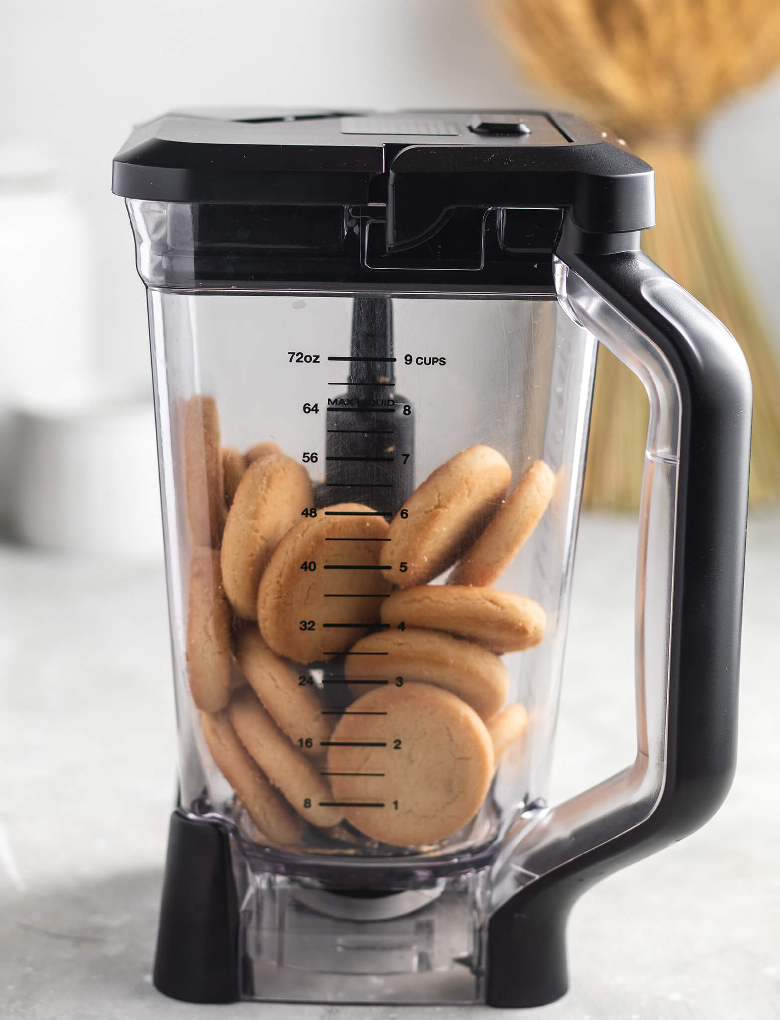 Sugar cookies in a blender