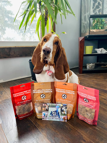 @brutus_thebasset with Training Treats