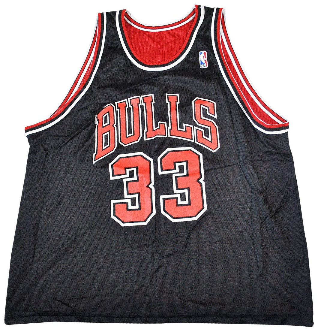 Vintage Champion Brand Chicago Bulls 