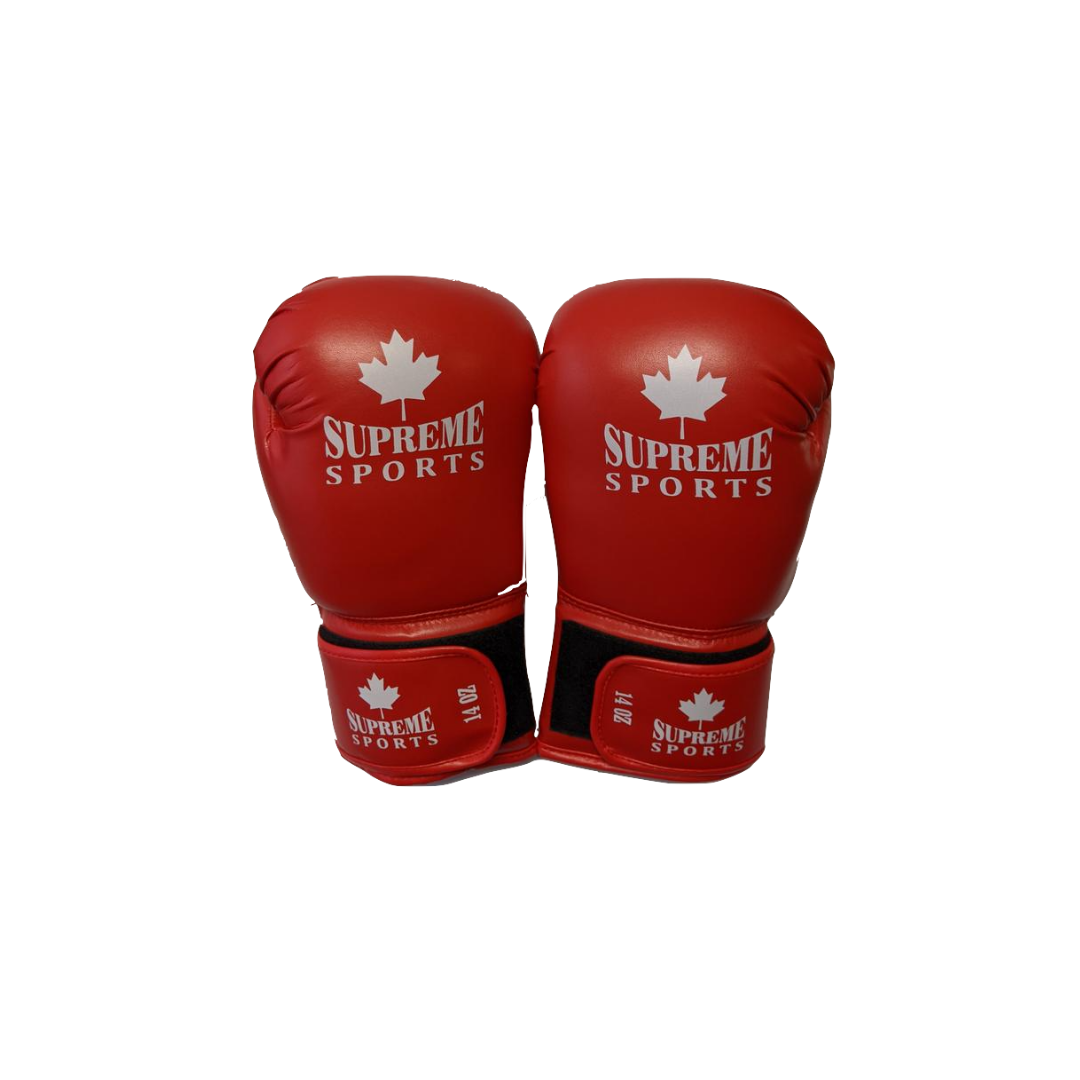 SMA - LEATHER BOXING TRAINING GLOVES - 14 oz