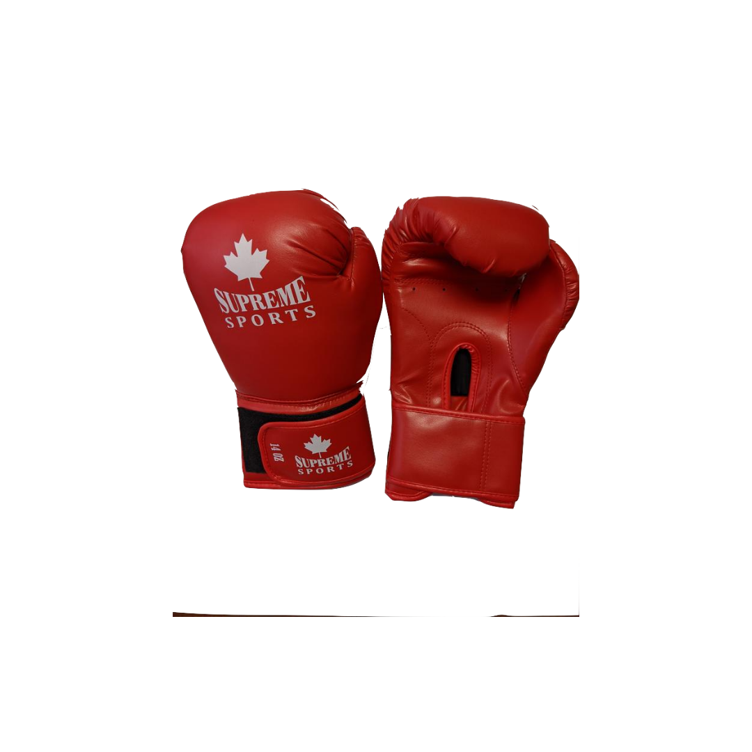 SMA - LEATHER BOXING TRAINING GLOVES - 14 oz