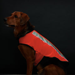 Spot-Lite LED Lighted Jackets - Large Dogs