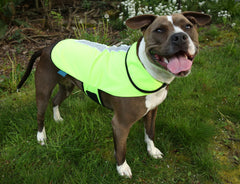 Spot-Lite LED Lighted Jackets - Small/Medium Dogs