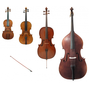 cello viola violin bass double string family