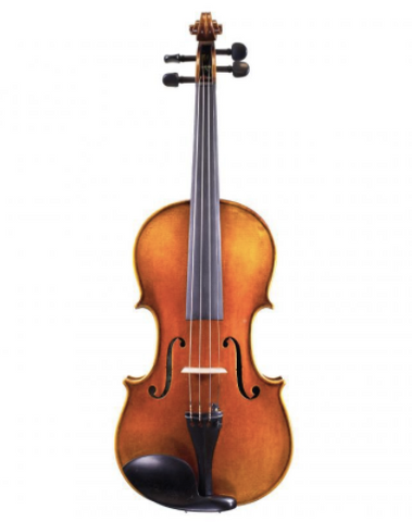 instruments volés  violoncelle - dbStrings