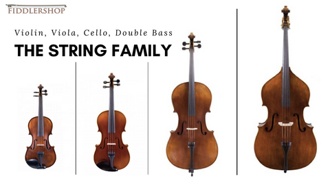 violin cello viola bass double learn should string instrument instruments which family music stringed centuries