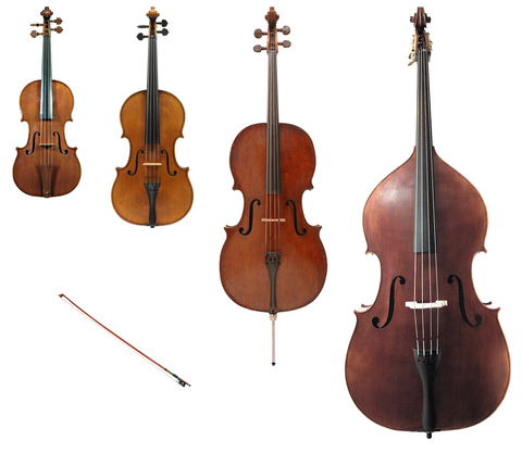 What are string instruments? Meet the members of the string family
