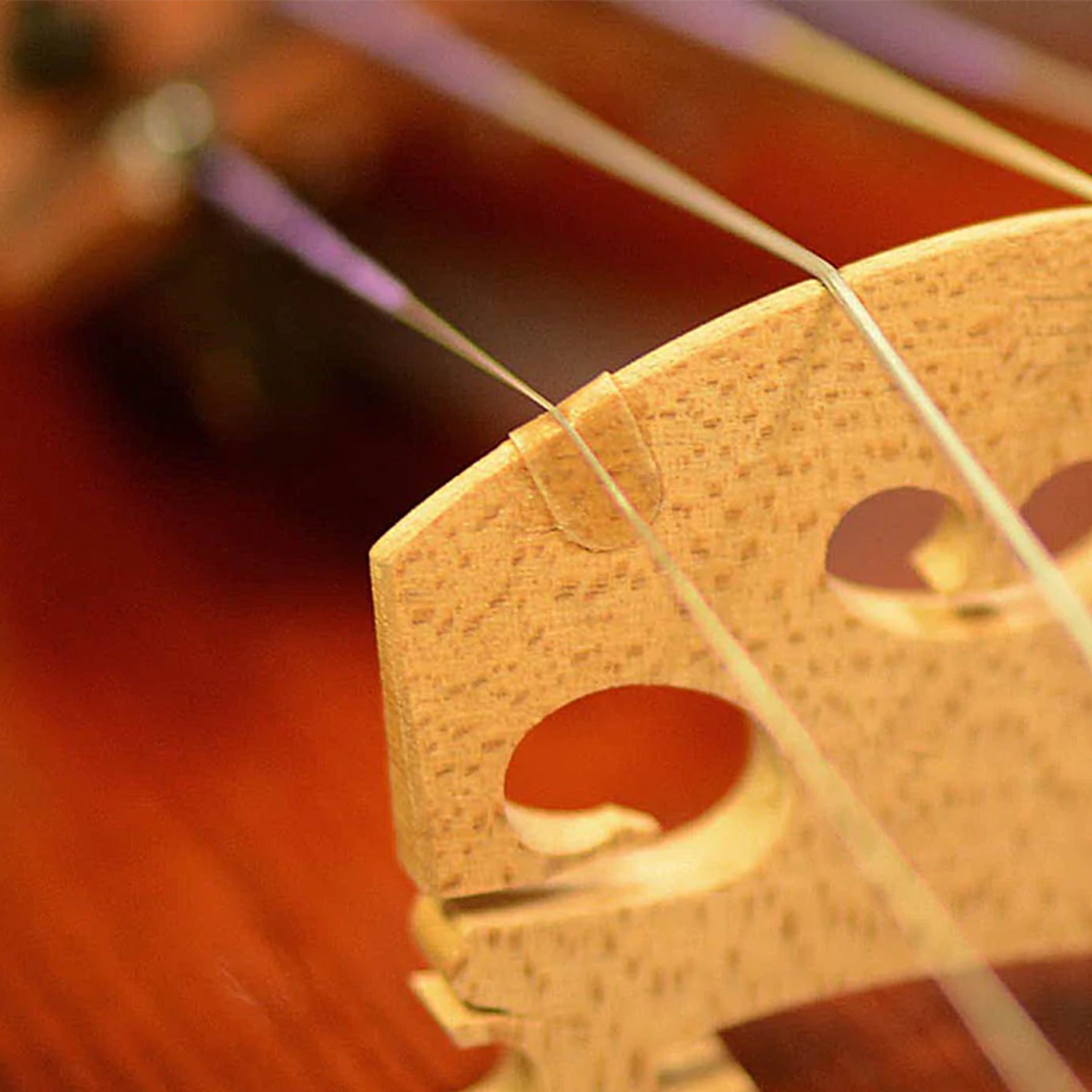 Bridge Parchments Protector String  Violin-Viola  X 100 