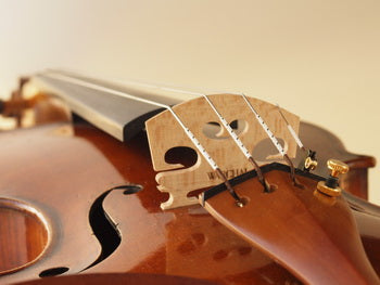 Warchal shop violin strings