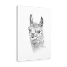 SARA Llama - Art Canvas