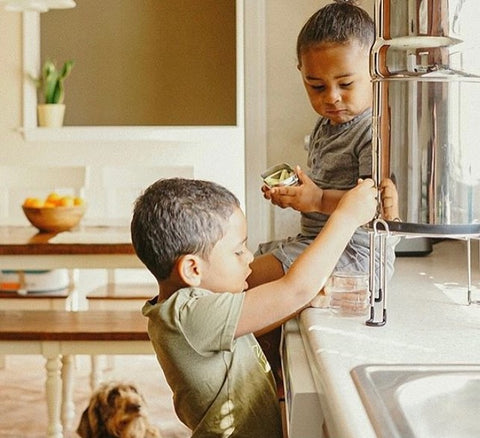 Big Berkey Water Filter - Healthy Child