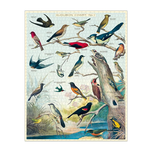 Cavallini 1000pc Vintage Puzzle - Audubon Birds